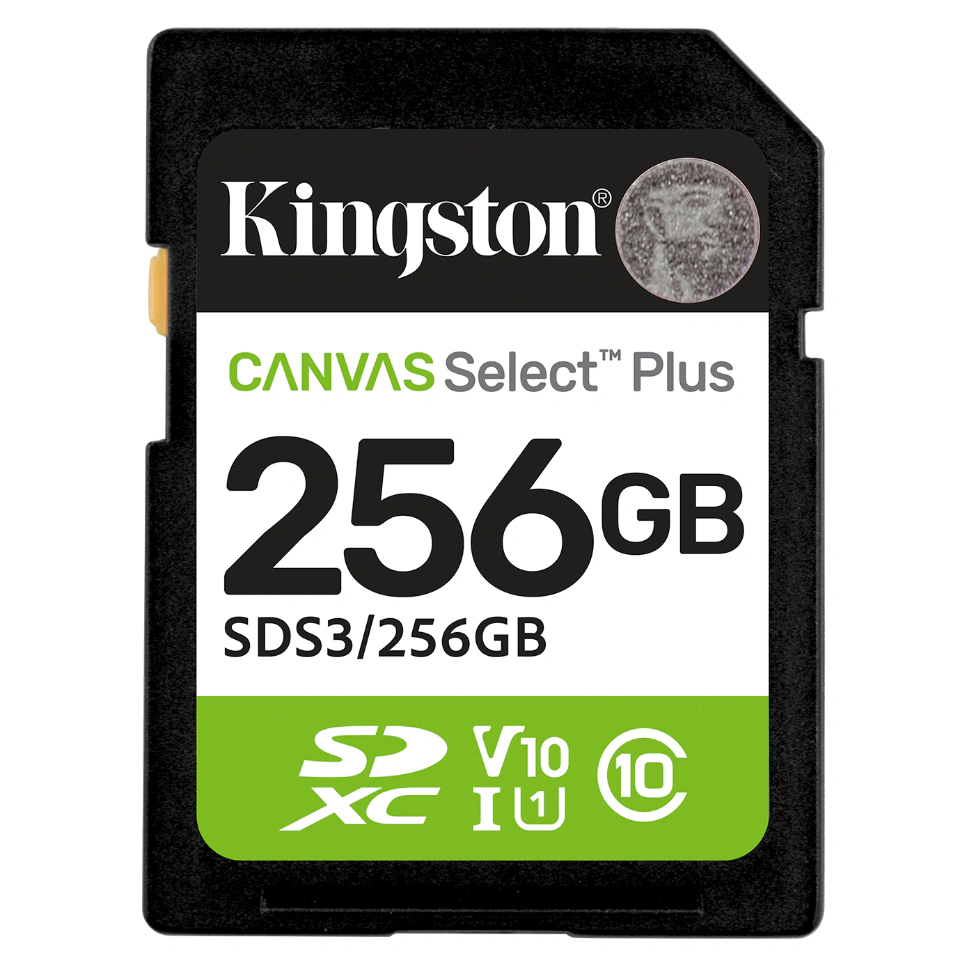 Cartão SD Kingston Canvas Select Plus de 256 GB visto de frente